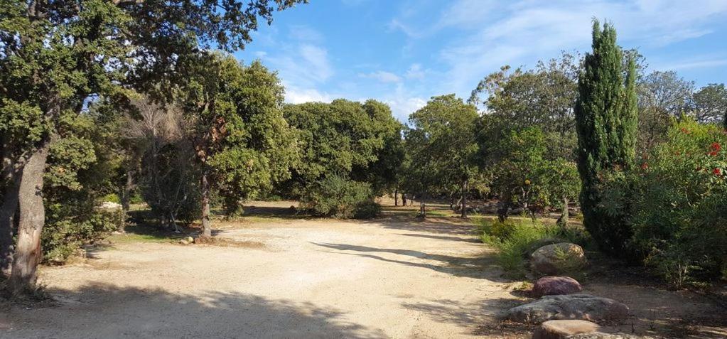 Le Bois De Capra Scorsa Villa Belgodère Eksteriør bilde