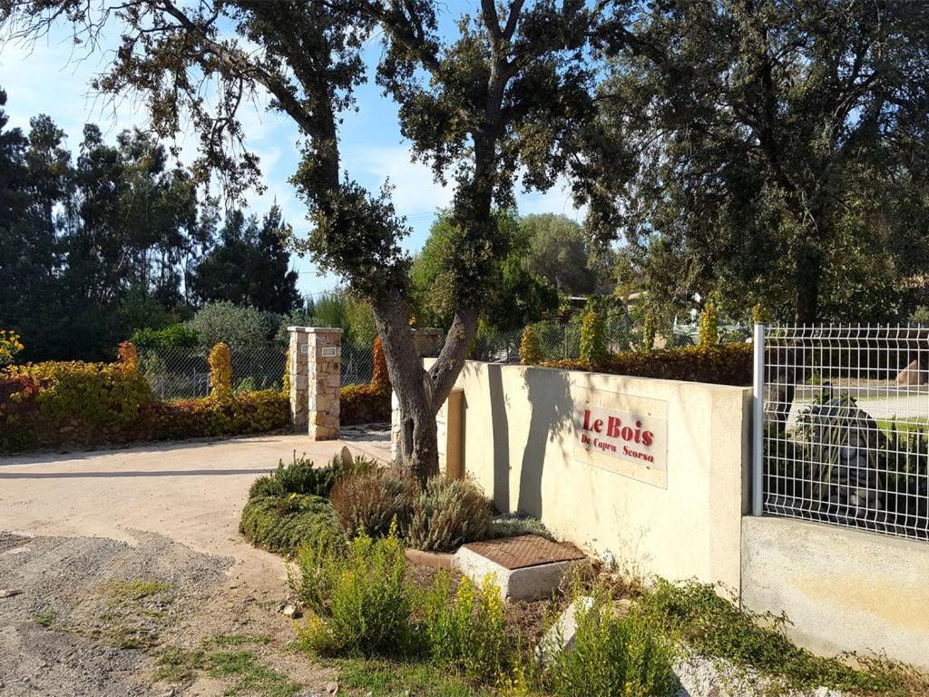 Le Bois De Capra Scorsa Villa Belgodère Eksteriør bilde
